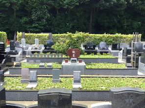 常円寺 樹木葬墓域