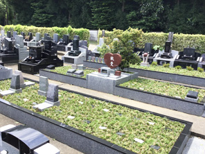 常円寺 樹木葬墓域