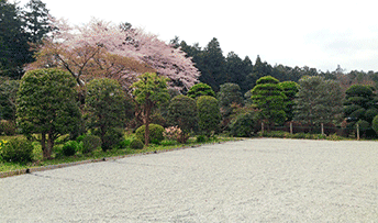 常円寺墓域写真